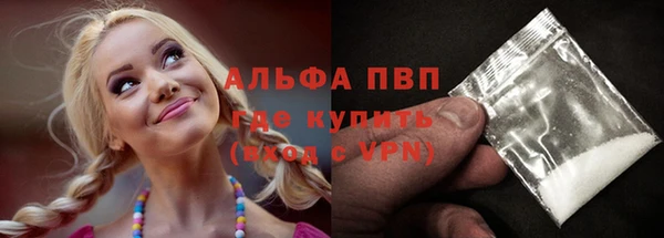 стаф Алексин