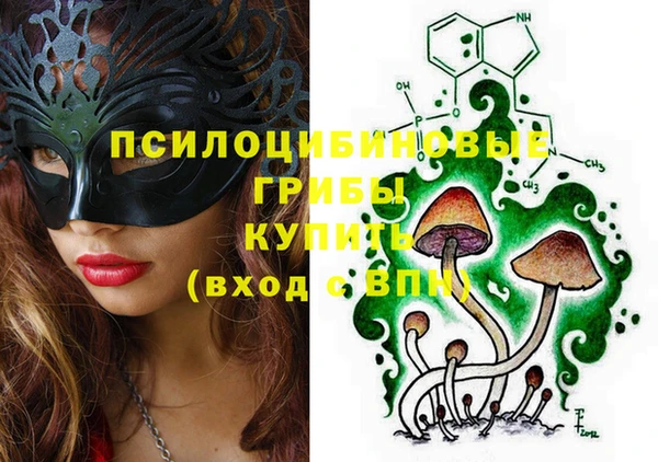 стаф Алексин