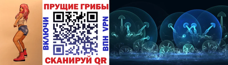 Псилоцибиновые грибы MAGIC MUSHROOMS  где купить наркоту  Ардатов 